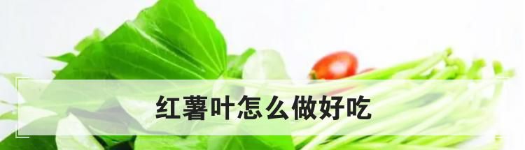红薯叶怎么做好吃