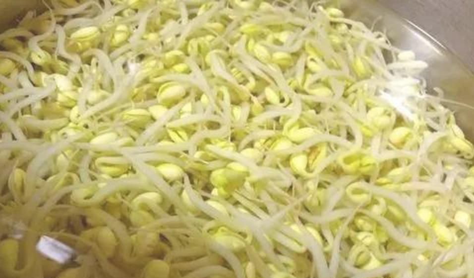 黄豆芽怎么做好吃