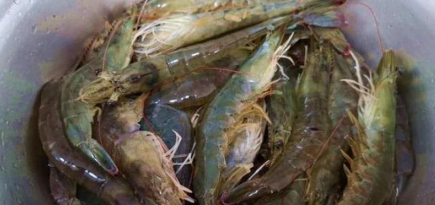 大虾怎么做好吃又简单