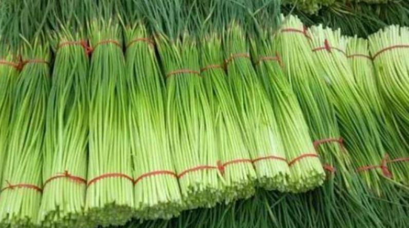 蒜苔怎么择菜