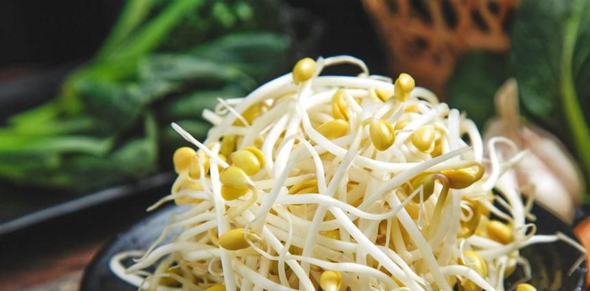 黄豆芽好还是绿豆芽好