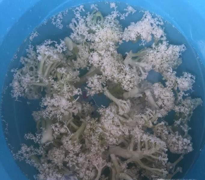 汤饭如何做好吃？