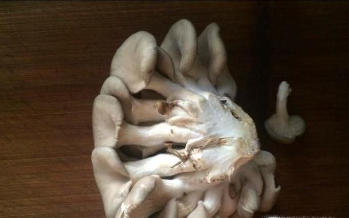 蘑菇豆腐汤怎么做