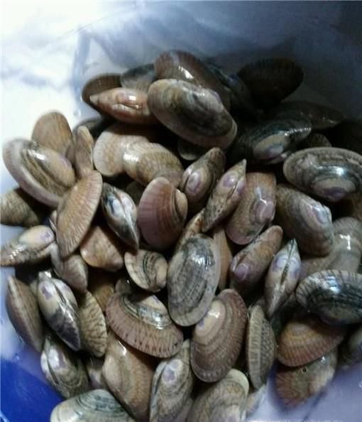 花甲粉丝汤的做法。教你怎么做花甲粉丝汤