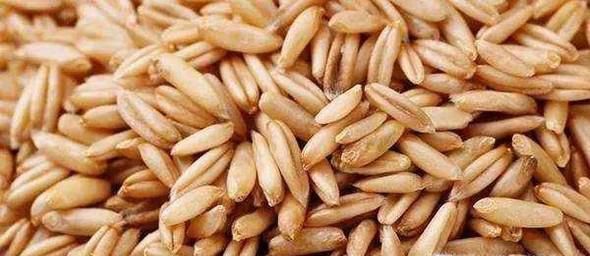 燕麦米怎么吃最好？