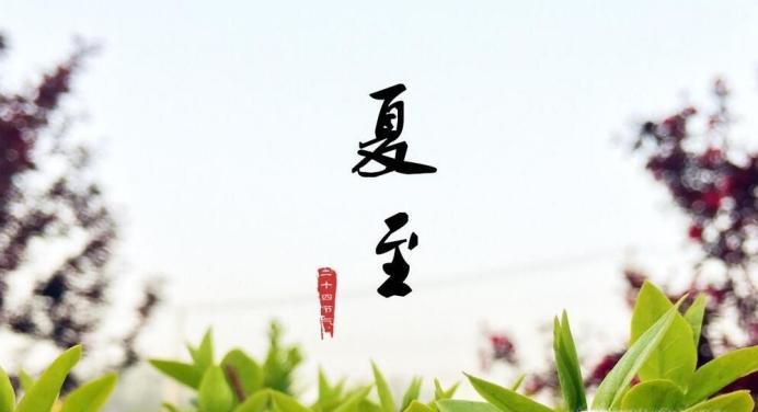 夏至要吃什么