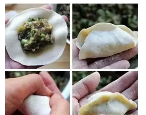 各种饺子的包法
