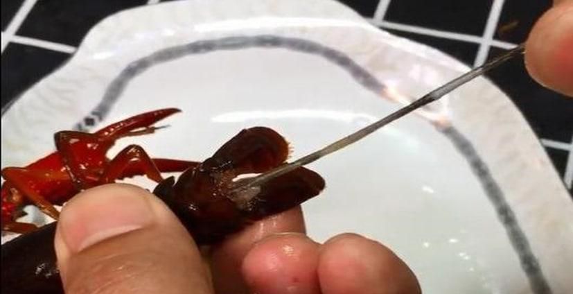 小龙虾的虾线怎么处理方便