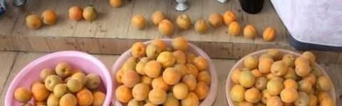自制杏子酒，应对泛滥杏子的好方法