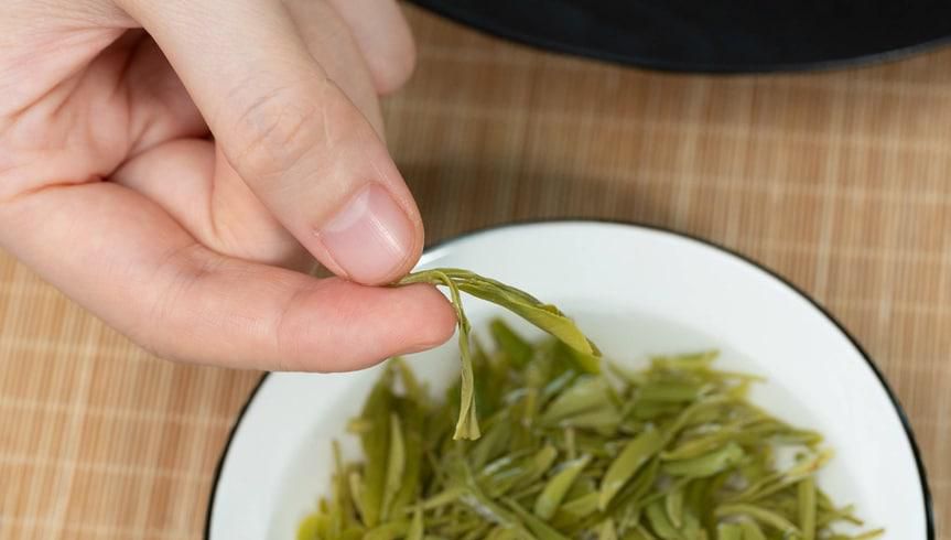 为什么喝完茶后千万别扔掉茶叶渣