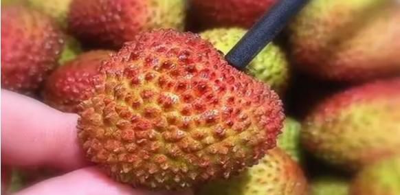 挑选荔枝的小窍门