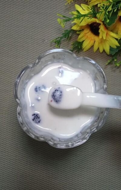怎样做酸甜可口的桑葚酸奶？
