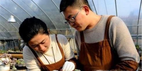 养姬玉露要注意哪些方面？