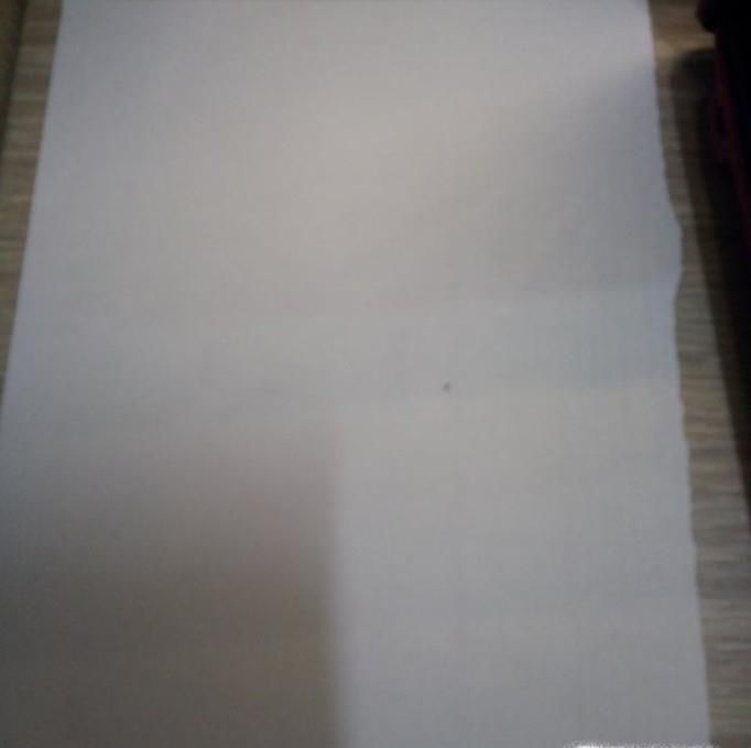 简单利用废旧纸板手工制作小动物