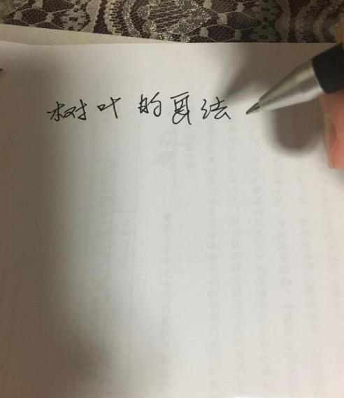 教你用钢笔画6种不同的树叶