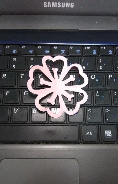 怎么做才能剪出爱心桃花