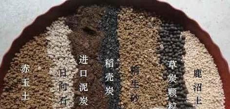 吹雪之松锦怎样爆盆