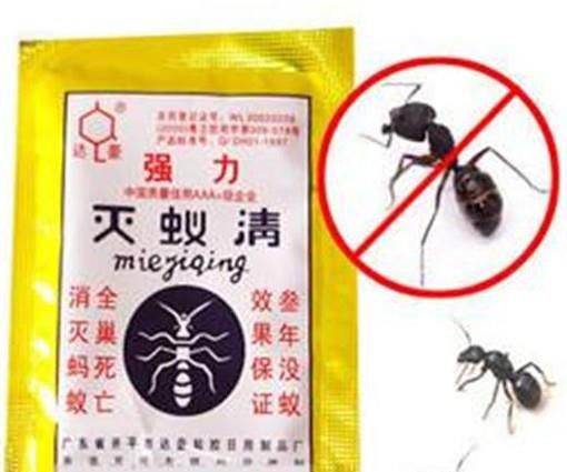 怎样消灭花盆里的蚂蚁
