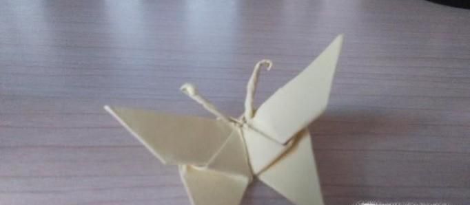 如何折立体的纸蝴蝶？