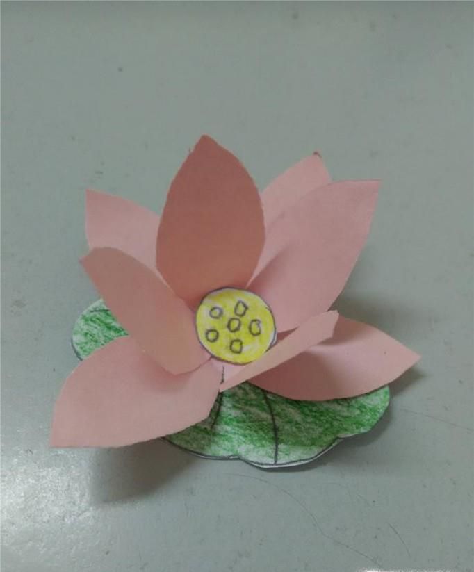 卡纸制作：莲花