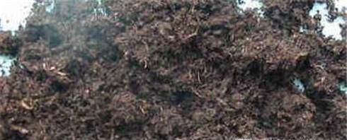 多肉植物的养殖方法?