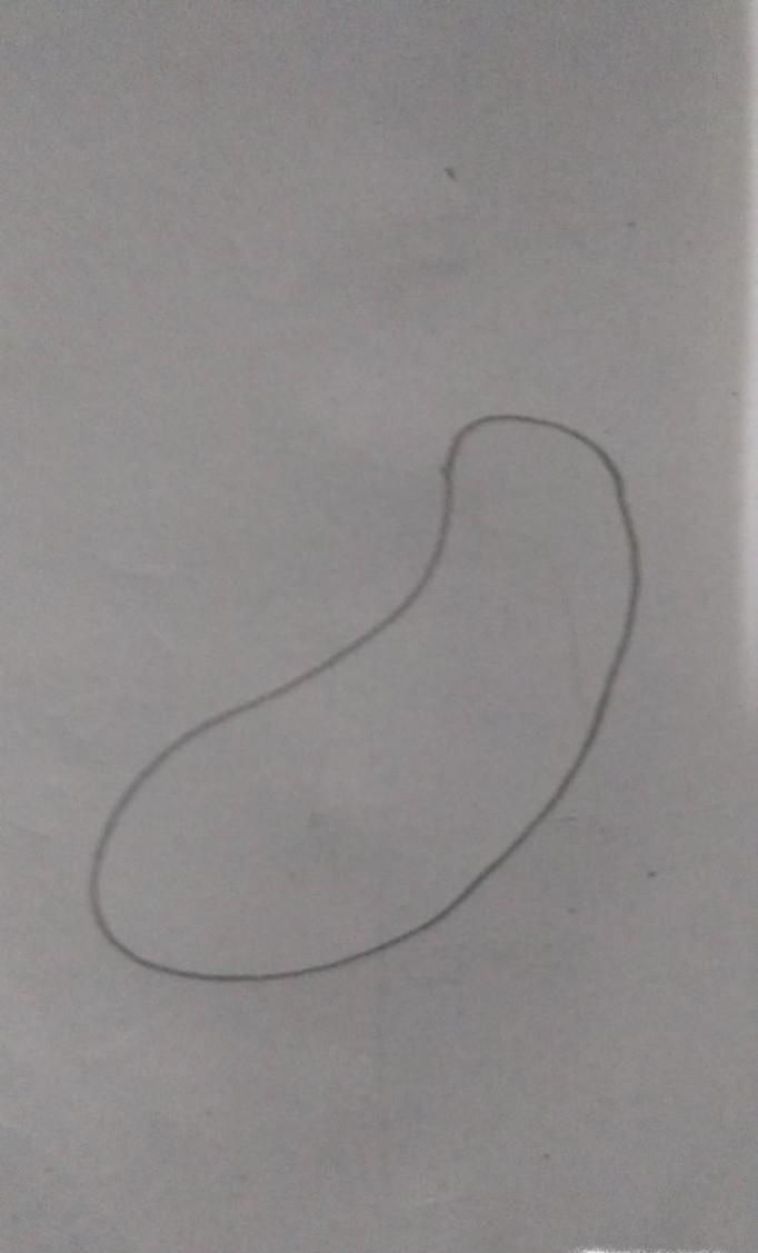 茄子简笔画如何画