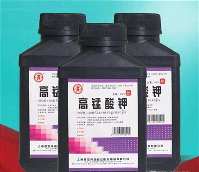 如何救活根烂了只剩杆的发财树