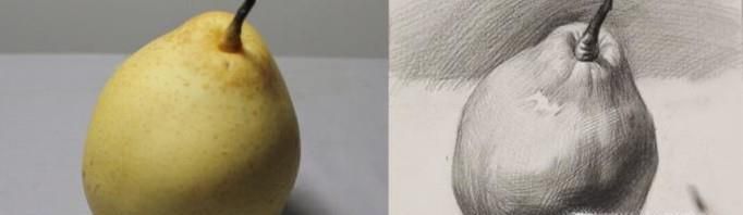 素描一种水果梨