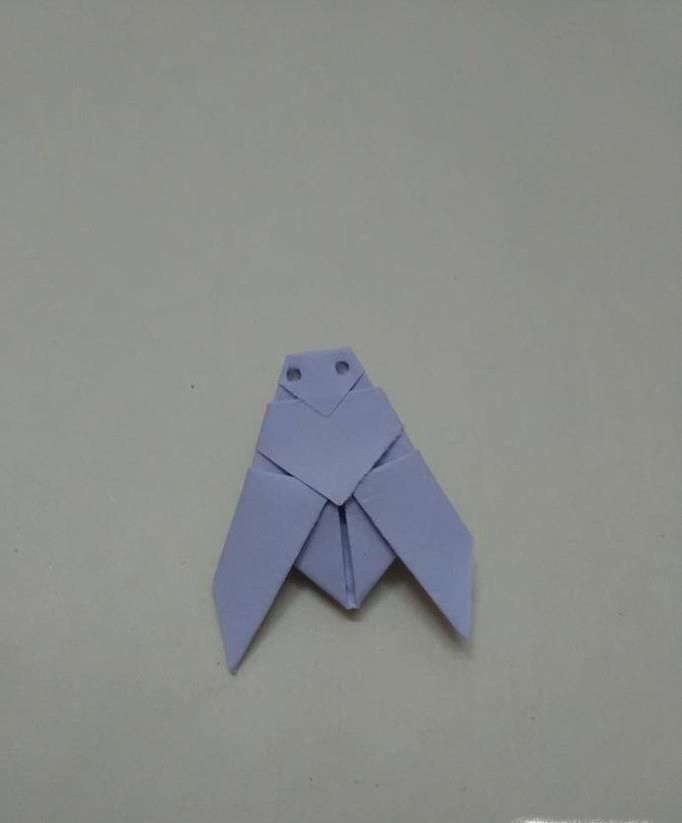 折纸——蝉的简单折法
