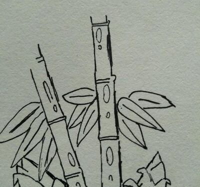 随手画竹的画法