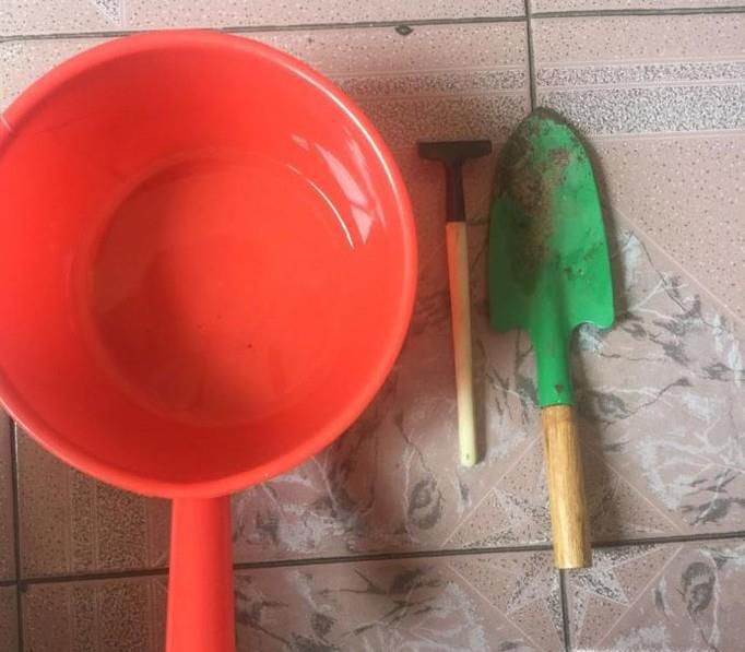 盆栽松土的方法
