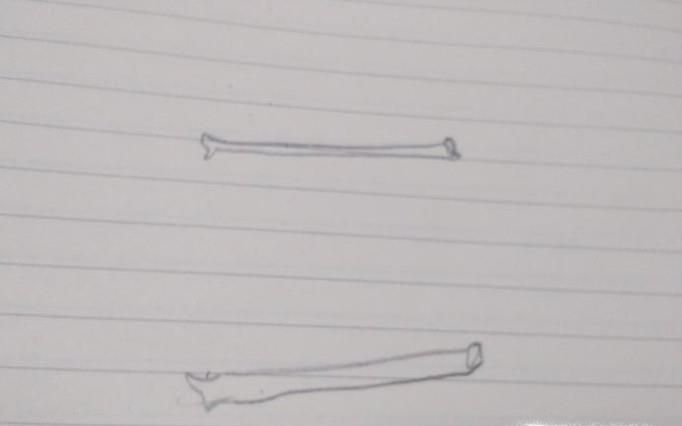 怎么画边框简笔画?