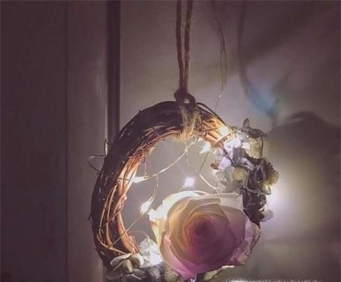 怎样用DIY出好看的干制花?
