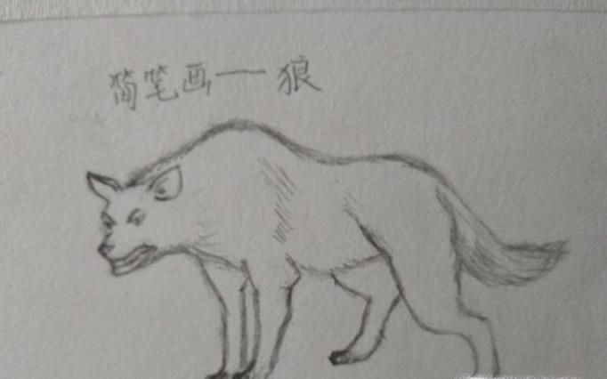 简笔画狼是怎么画的吧