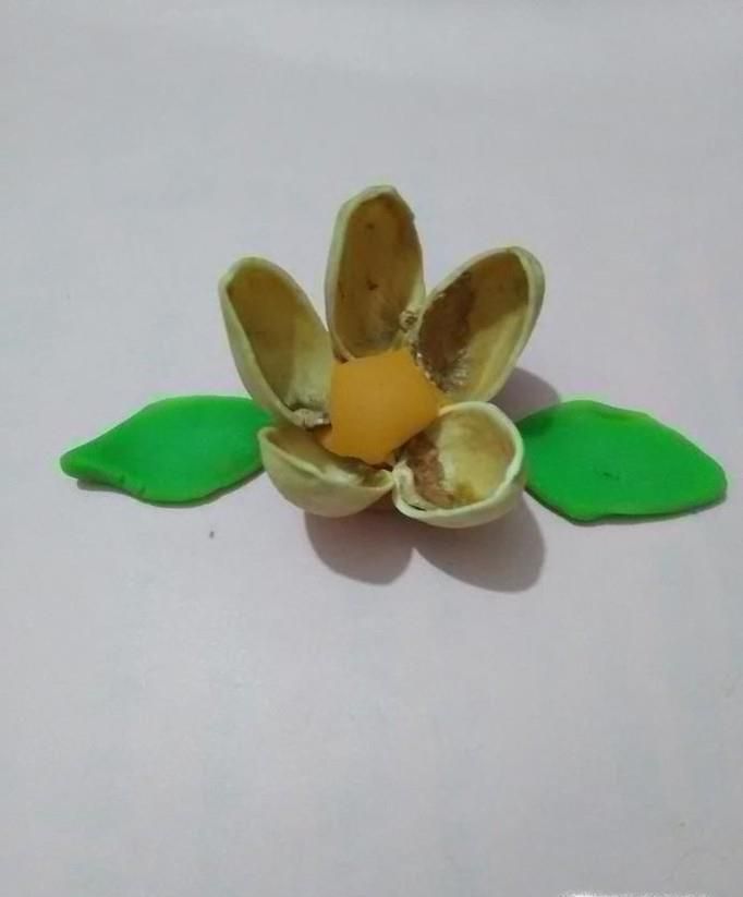 如何用开心果壳制作手工花工艺品
