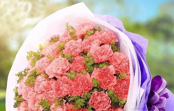 康乃馨的花语是什么