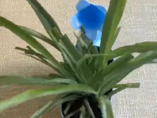 塑料手工花盆制作方法