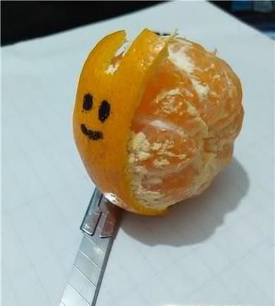 怎样用桔子做小动物