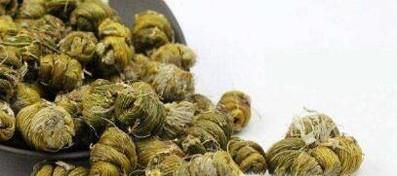 如何种植铁皮石斛