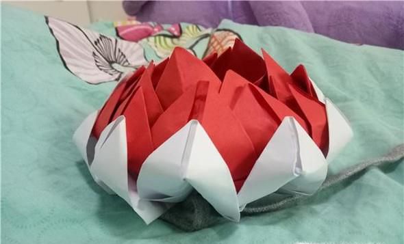 漂亮荷花的详细折法