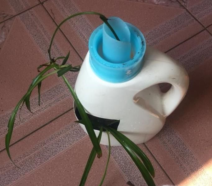 如何用洗衣液的瓶子做漂亮的花盆？