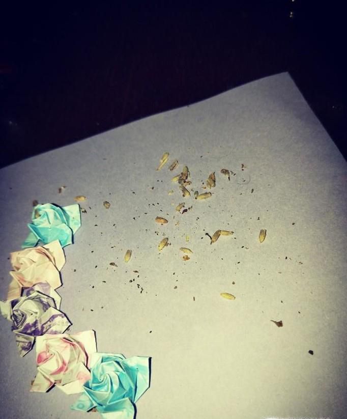 纸玫瑰花的折法