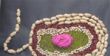生物模型制作方法