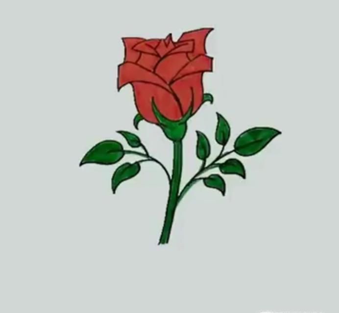 如何用铅笔画一朵玫瑰花？