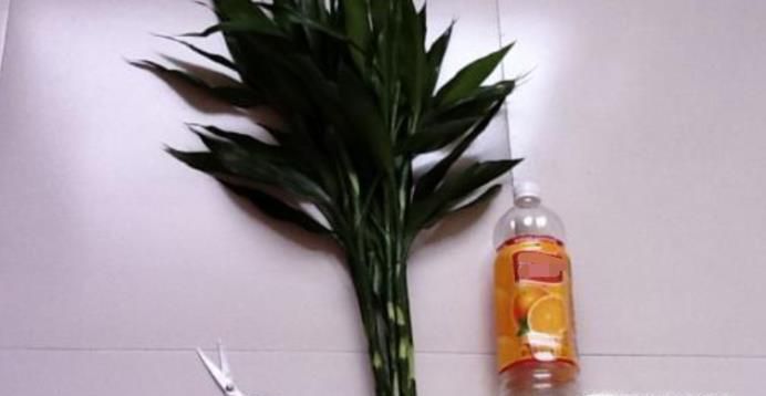 塑料瓶怎么制作成花瓶