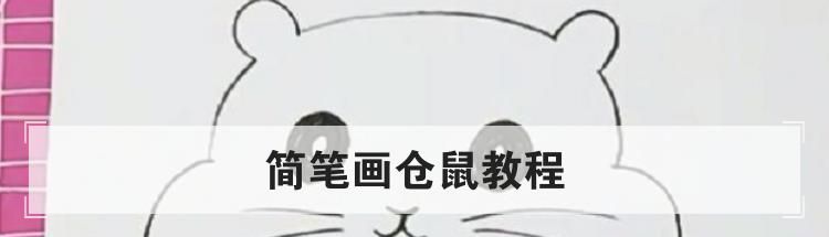 简笔画仓鼠教程