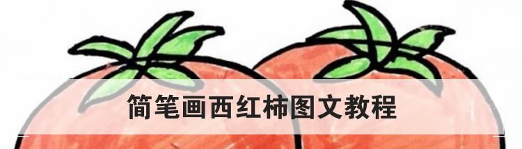简笔画西红柿图文教程