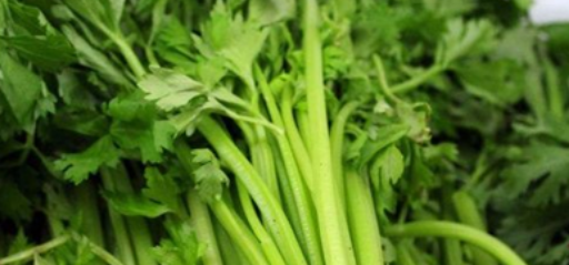 如何在家种植小香芹
