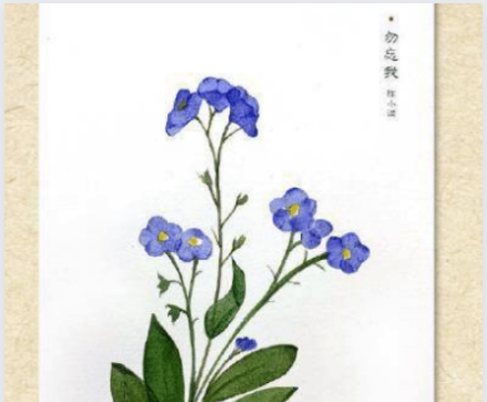 如何采集植物标本