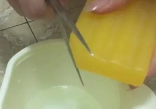 菊花生虫子怎么做